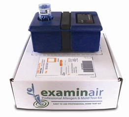 mold test kit
